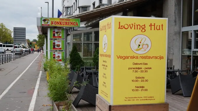 Vegan in Ljubljana | ElephantasticVegan.com