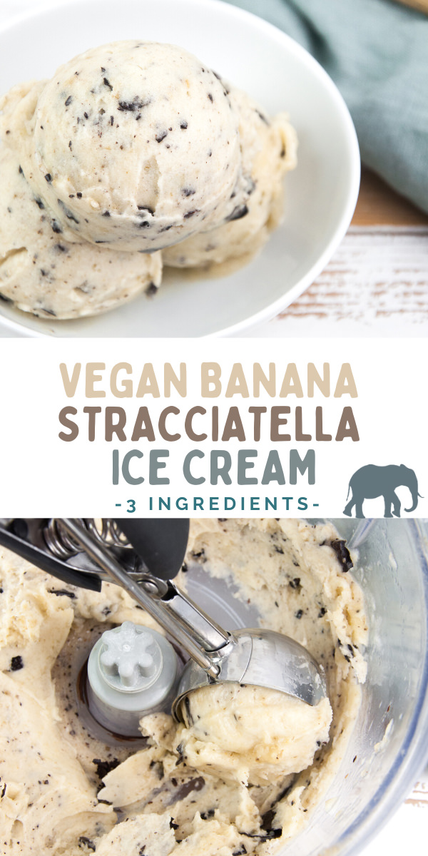 Vegan Banana Stracciatella Ice Cream