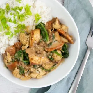 Vegan Peanut Butter Curry with tofu