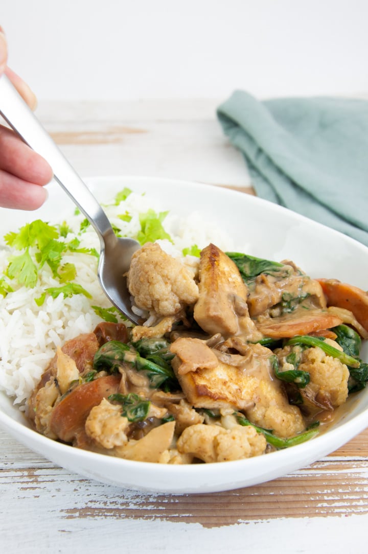 Vegan Peanut Butter Curry with tofu