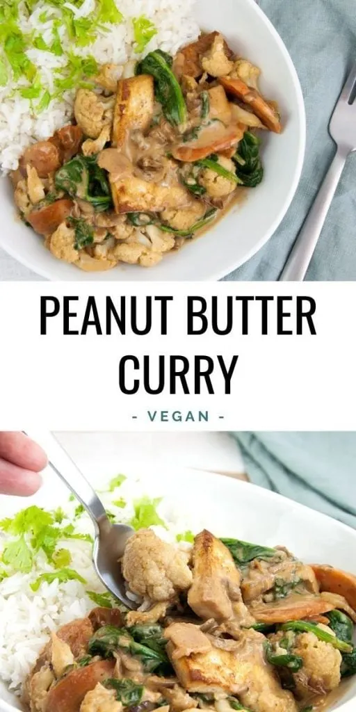Vegan Peanut Butter Curry with tofu