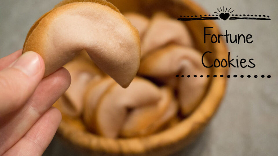 Fortune Cookies Recipe Elephantastic Vegan