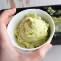 Vegan Avocado Ice Cream | ElephantasticVegan.com