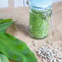 Wild Garlic Pesto | ElephantasticVegan.com