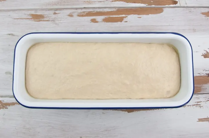 bread dough in a loaf pan