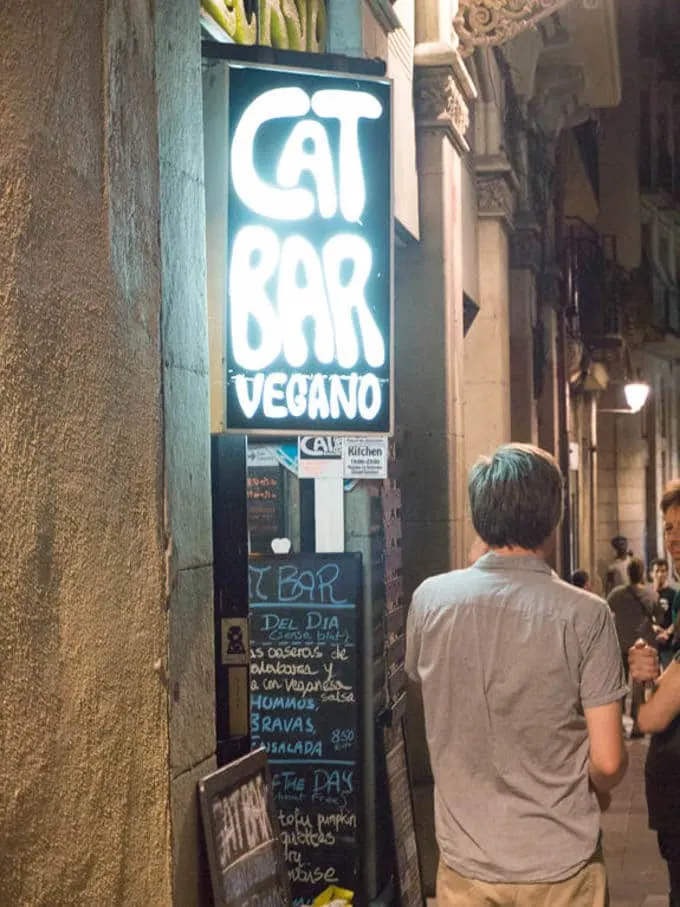 Vegan in Barcelona Catbar | ElephantasticVegan.com