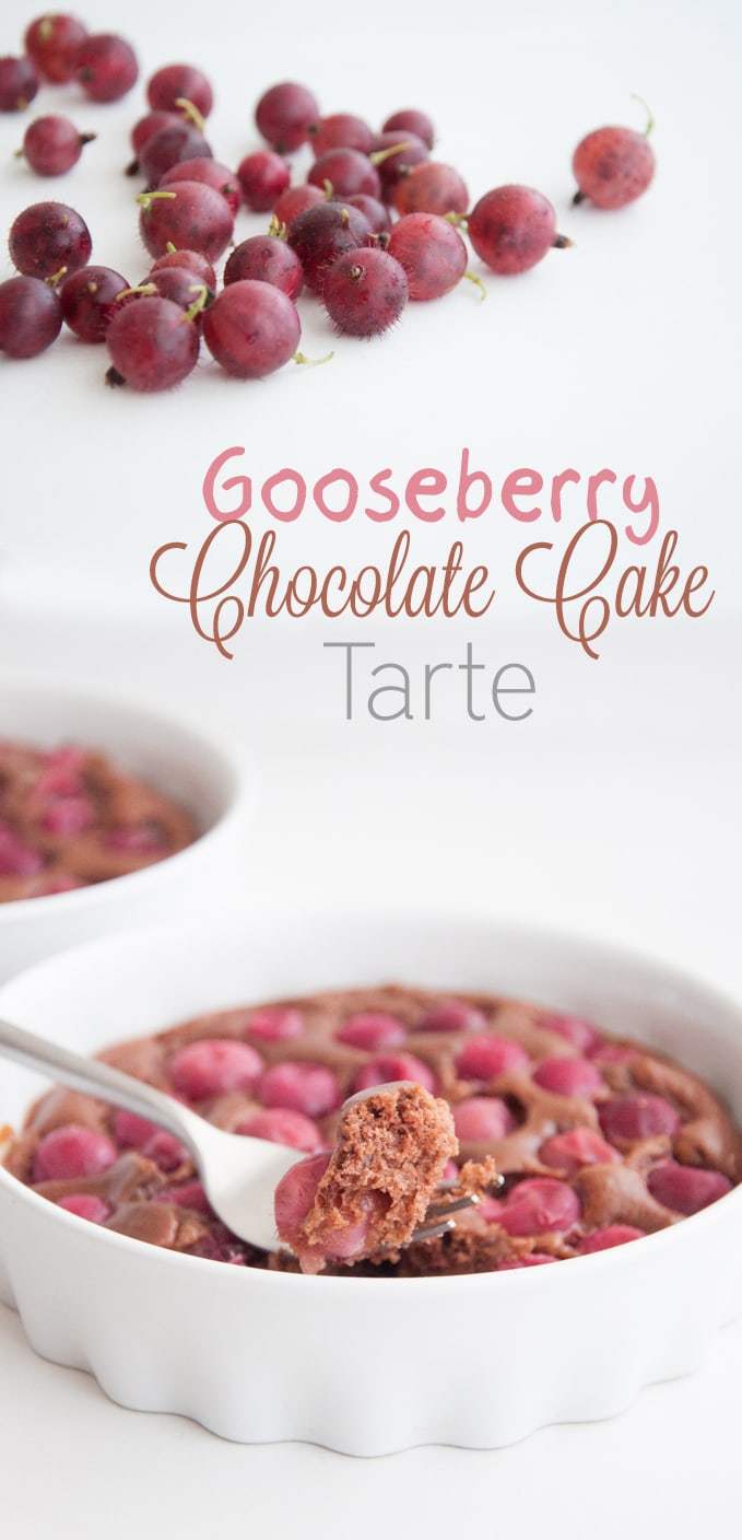 Gooseberry Chocolate Cake Tarte | ElephantasticVegan.com