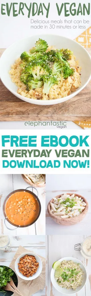 Everyday Vegan - Download your free copy now | ElephantasticVegan.com