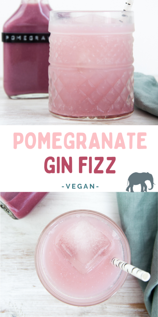 Pomegranate Gin Fizz