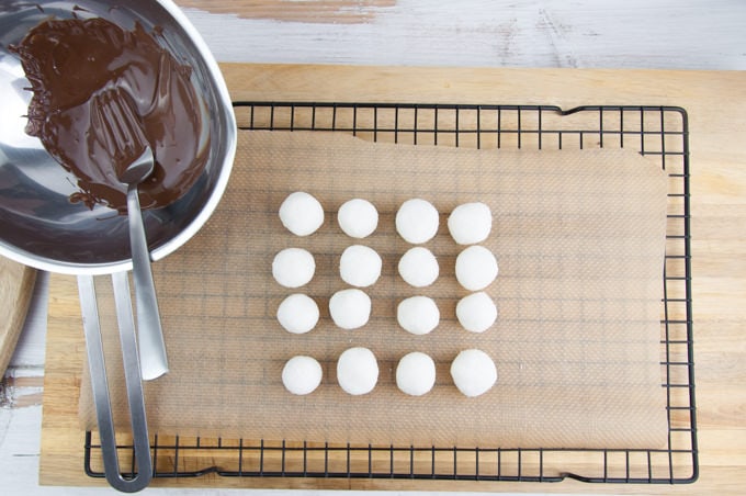 Vegan No-Bake Coconut Balls