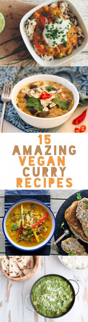 15 Amazing Vegan Curry Recipes | ElephantasticVegan.com