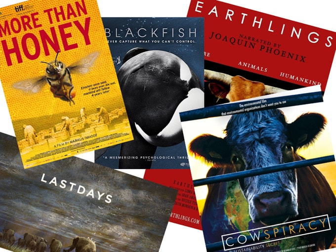 5 Must-See Documentaries about animals | Veginners.com