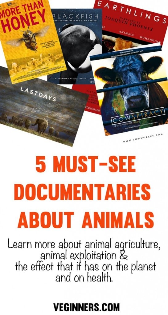 5 Must-See Documentaries about Animals | Veginners.com