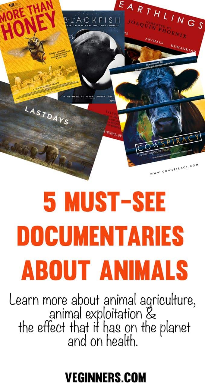 5 Must-See Documentaries About Animals #veginners #vegan #documentaries #films