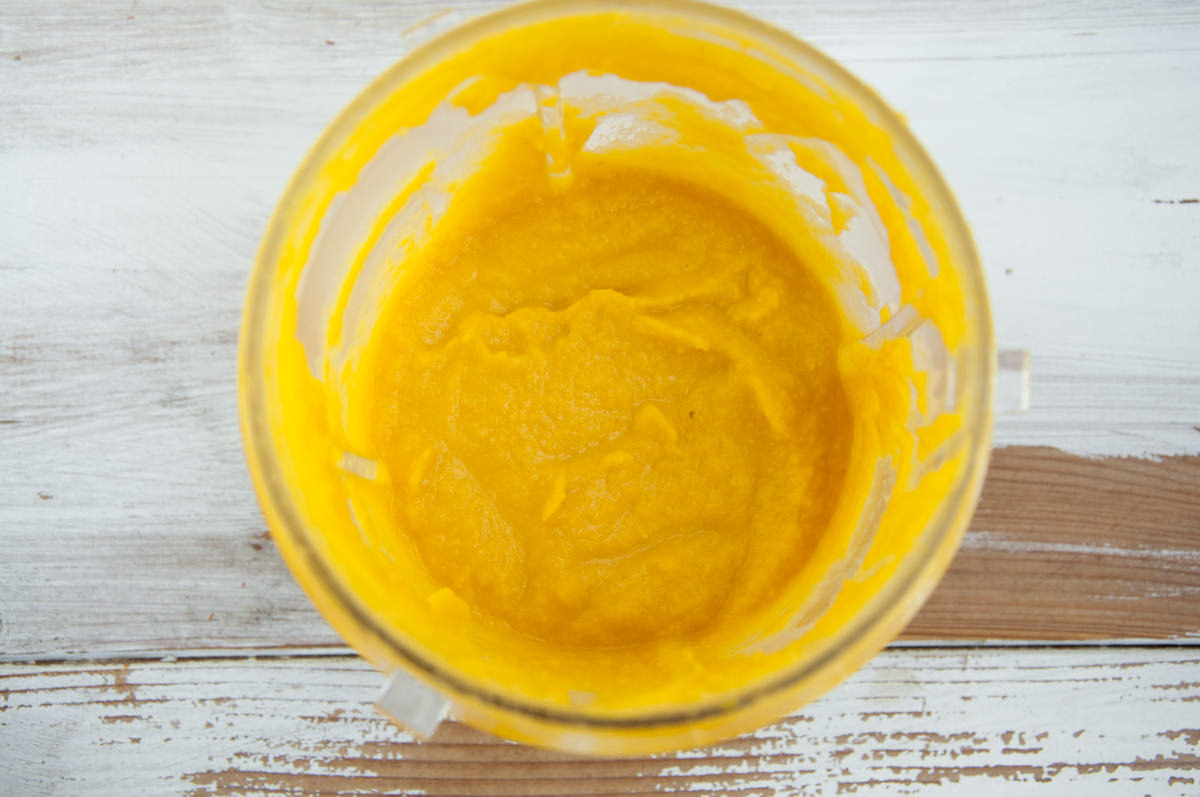 butternut squash dip in blender