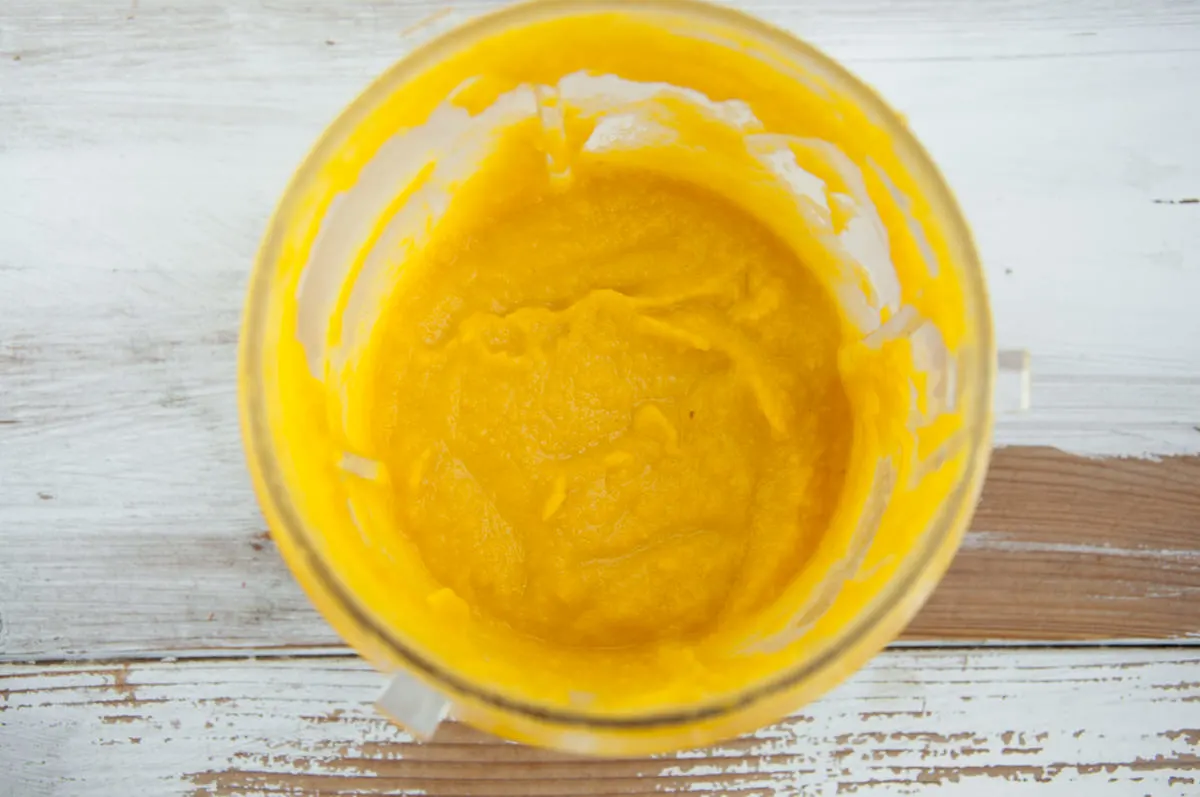 butternut squash dip in blender