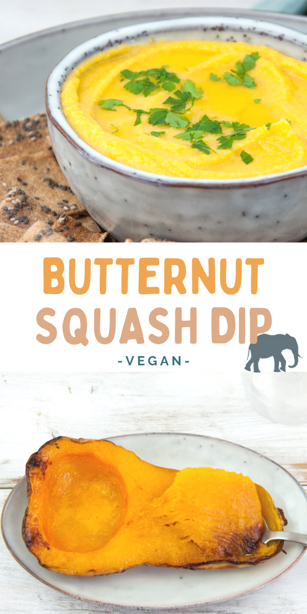 Butternut Squash Dip