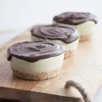 Vegan Coconut Matcha Ice Cream Cakes | ElephantasticVegan.com