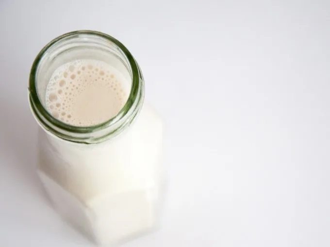 Date-Sweetened Hazelnut Milk | ElephantasticVegan.com