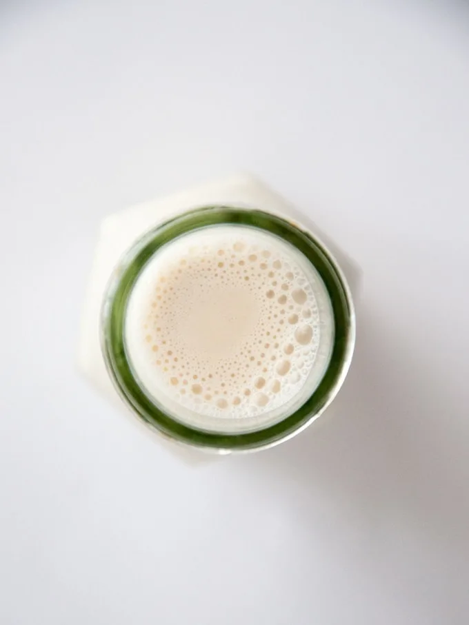Date-Sweetened Hazelnut Milk | ElephantasticVegan.com