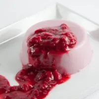 Vegan Raspberry Coconut Panna Cotta | ElephantasticVegan.com