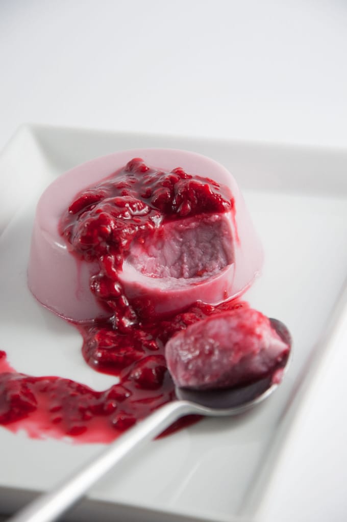 Vegan Raspberry Coconut Panna Cotta | ElephantasticVegan.com