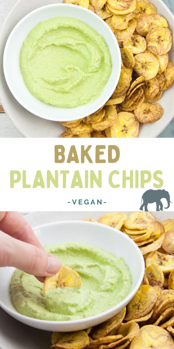 Baked Plantain Chips