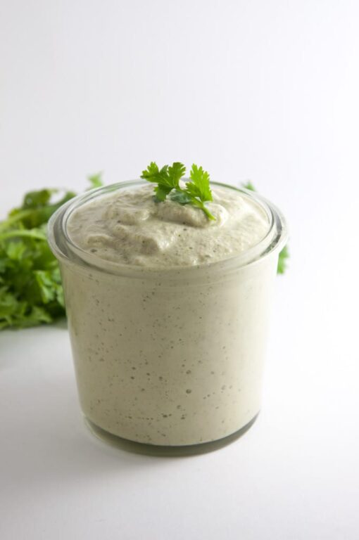 Vegan Cilantro Lemon Sunflower Seed Dip Recipe Elephantastic Vegan