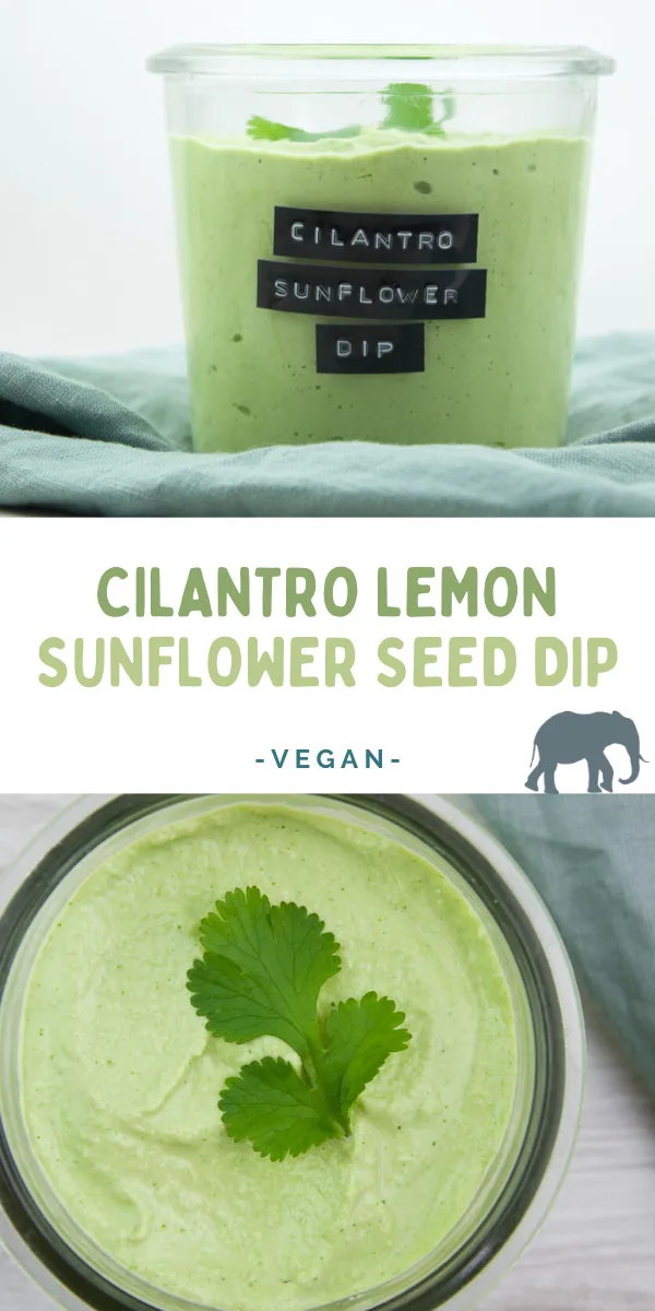 Cilantro Lemon Sunflower Seed Dip