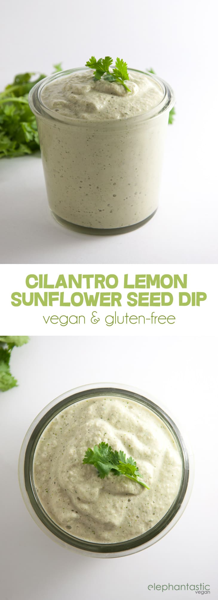 Vegan Cilantro Lemon Sunflower Seed Dip | ElephantasticVegan.com