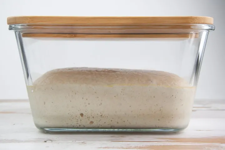 yeast dough in a container