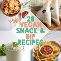 20 Vegan Snack And Dip Recipes | ElephantasticVegan.com