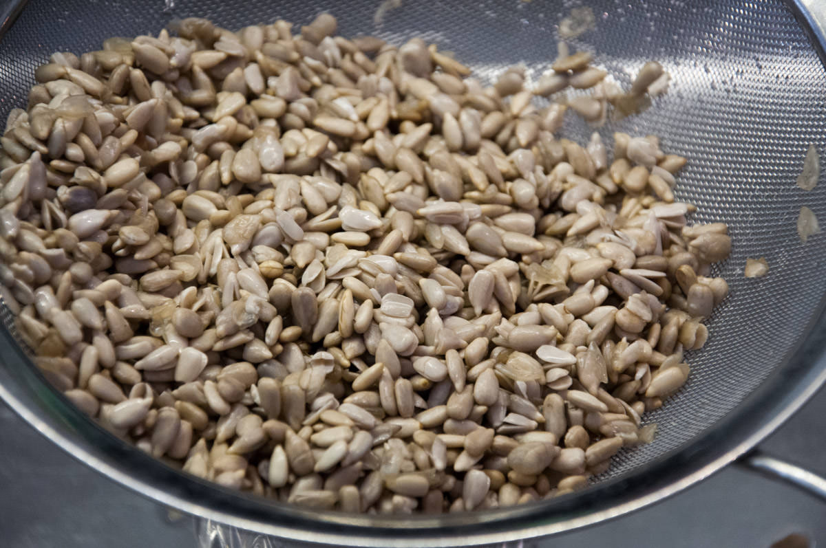 rinsed and drained sunflower seeds