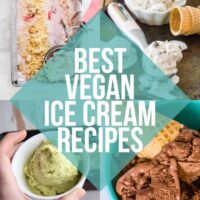 Best Vegan Ice Cream Recipes | ElephantasticVegan.com