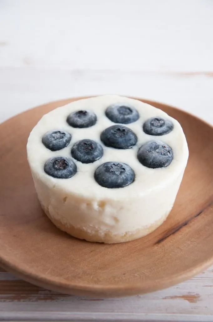 No-Bake Lime Blueberry Cheesecake | ElephantasticVegan.com 