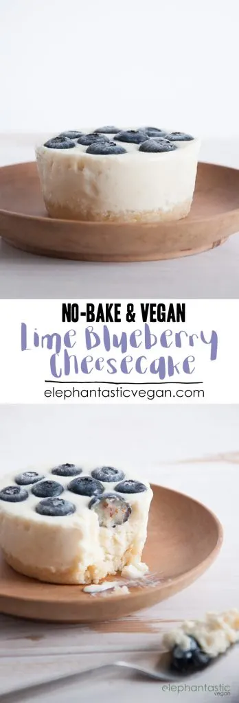 No-Bake Lime Blueberry Cheesecake | ElephantasticVegan.com
