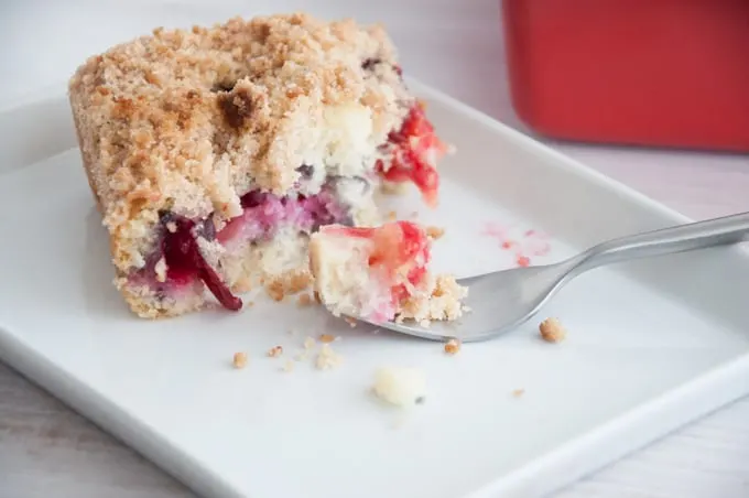 Plum Cinnamon Streusel Cake | ElephantasticVegan.com