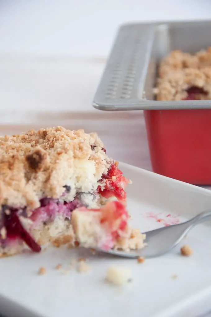 Plum Cinnamon Streusel Cake | ElephantasticVegan.com