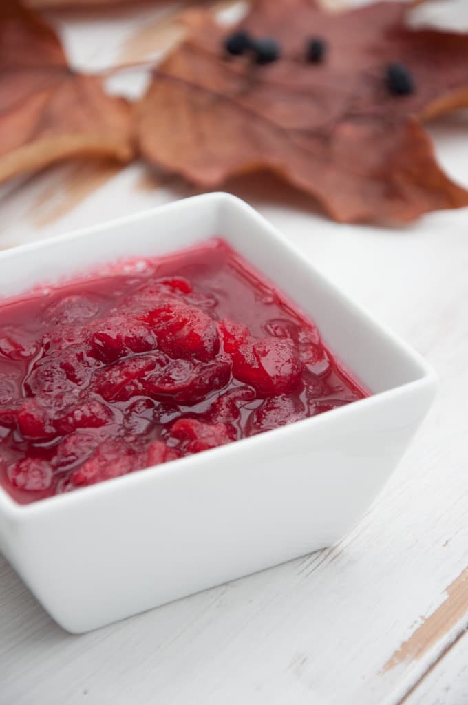 Easy 3-ingredient Cranberry Sauce | ElephantasticVegan.com