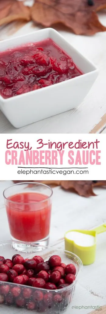 Easy 3-ingredient Cranberry Sauce | ElephantasticVegan.com