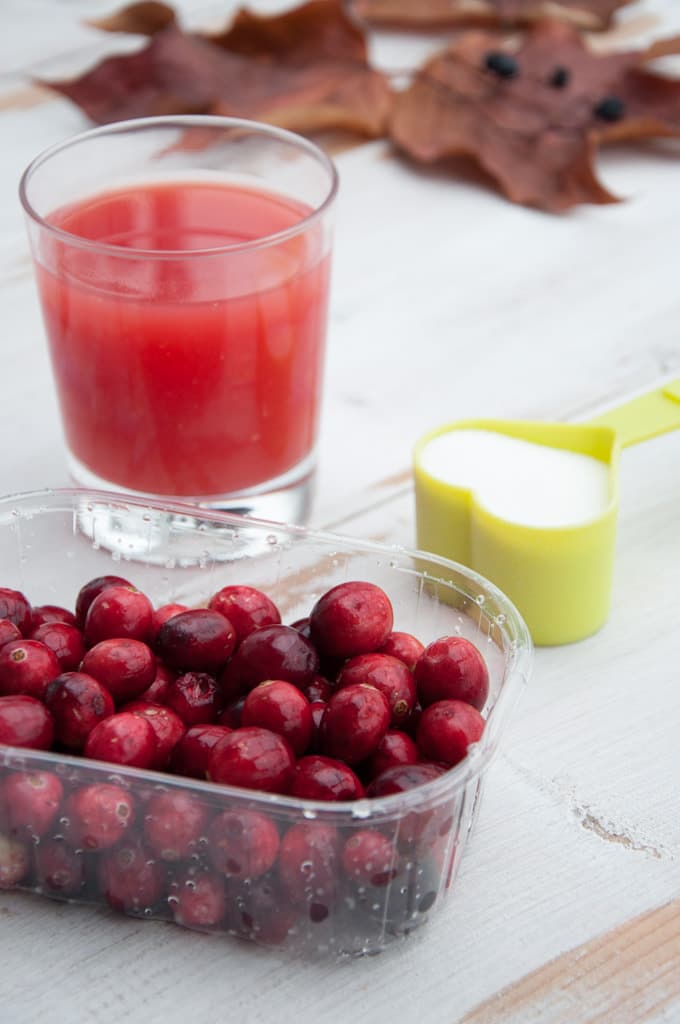 Easy 3-ingredient Cranberry Sauce | ElephantasticVegan.com