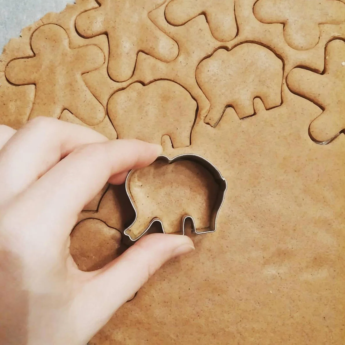 elephant cookies