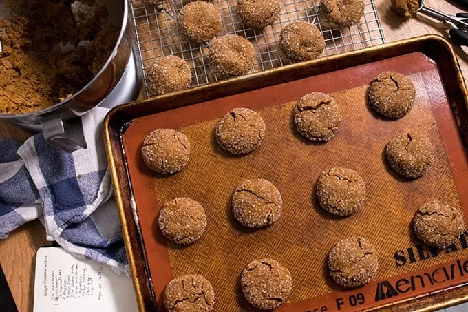 Vegan Ginger Molasses Cookies