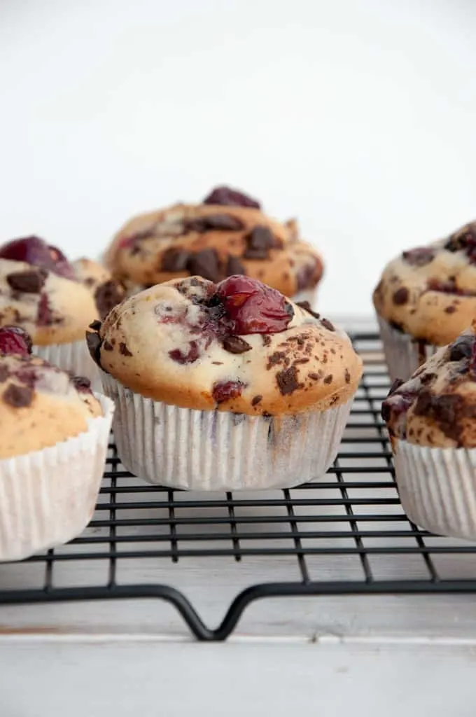 Cherry Chocolate Muffins