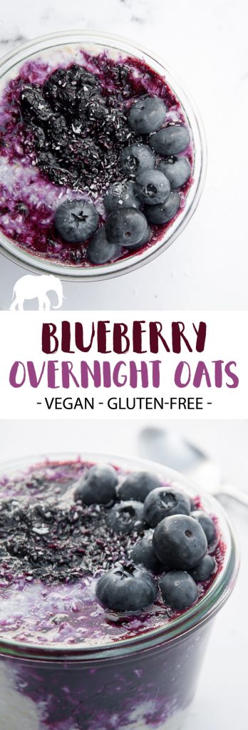 Vegan Blueberry Overnight Oats | ElephantasticVegan.com