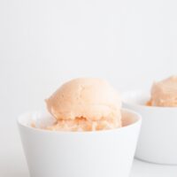 Veganes Zuckermelonen-Eis aus 2 Zutaten | ElephantasticVegan.com