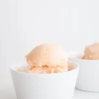 Veganes Zuckermelonen-Eis aus 2 Zutaten | ElephantasticVegan.com