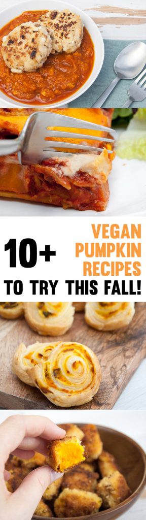 Vegan Pumpkin Recipes to try this fall