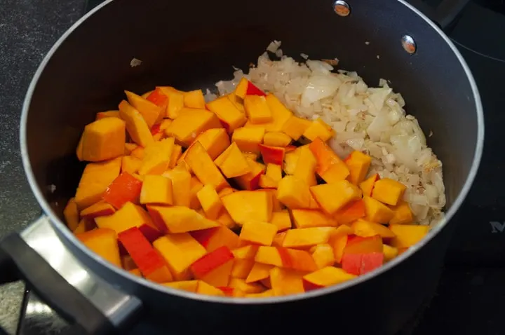 pumpkin, onion and garlic in pot