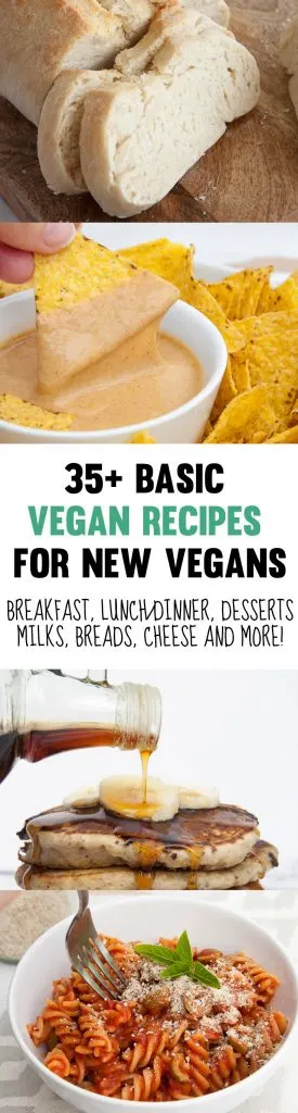 Basic Vegan Recipes For New Vegans